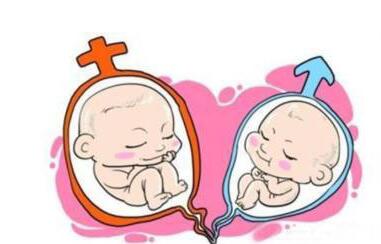 找卵代生子机构